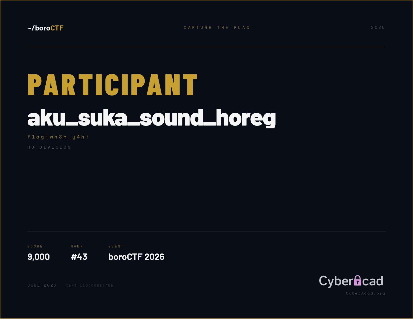 Sertifikat boroCTF 2026